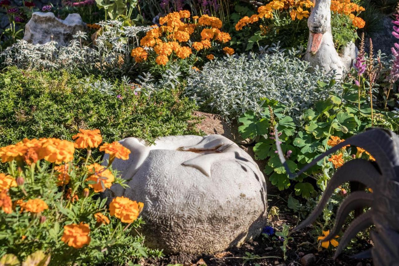 Tonigbauernhof Blumenwiese Schenna Luaran gambar